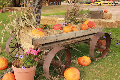 Pumpkins on an old wagon